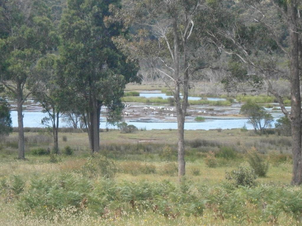 Top Of The Lake Holiday Units Merimbula Exterior foto